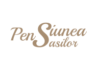 Pensiunea Sasilor Ocnele Mari